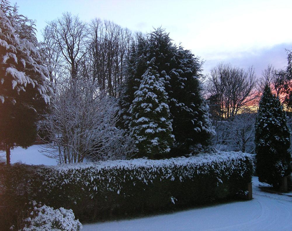 Whistlers Dell B&B Rhu Exterior photo